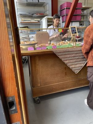 Year of the Snake by null