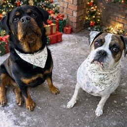 Frieda and Clyde wearing the bananas Eileen made them for Christmas. Frieda and Clyde wearing the bananas Eileen made them for Christmas.