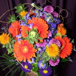 Rowes Flowers - Flower Arrangement
Call Now to Order : (970) 667-2300