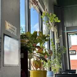 Three on the Tree Coffee & Cafe - Seating area with gorgeous plants.