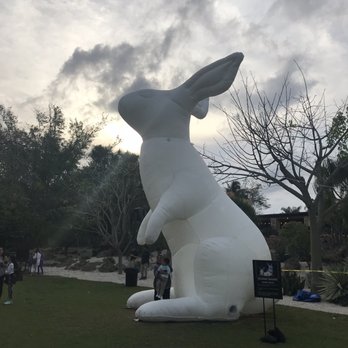 Pinecrest Gardens - Bunnies! - Botanical Gardens Near Me - Pinecrest, Florida