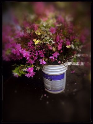 Photo of Larchmont's Down to Earth Farmers Market - Larchmont, NY, US. Gorgeous assorted flowering branches display