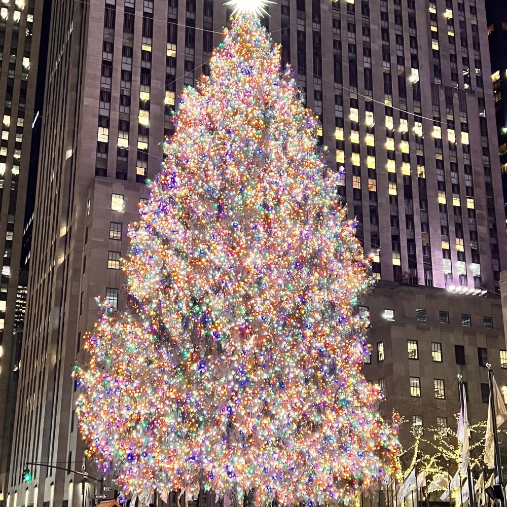 Rockefeller Center Christmas Tree - 12/14/23 - Christmas Trees Near Me - New York, New York Rockefeller Center Christmas Tree - 12/14/23 - Christmas Trees Near Me - New York, New York
