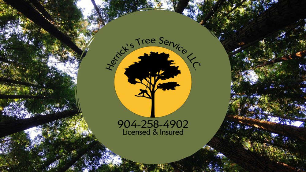 Herrick's Tree Service - tree service in Jacksonville, FL