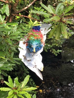 The Ewe Experience by null