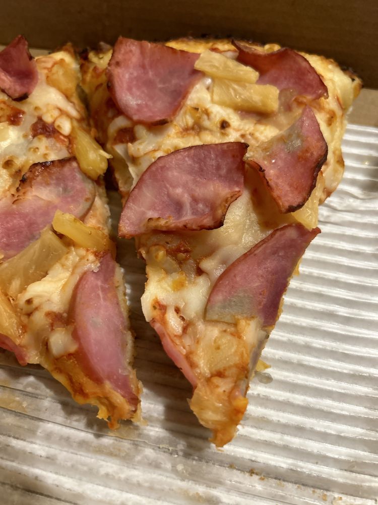 Domino's Pizza Logo