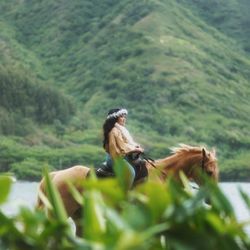 Legacy Horsemanship