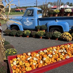 Duvall Farms