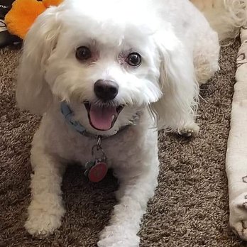 Valley Animal Hospital - cuteness overload! - Veterinarians Near Me - Van Nuys, California Valley Animal Hospital - cuteness overload! - Veterinarians Near Me - Van Nuys, California