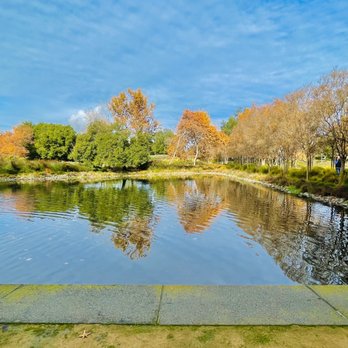 Lakeside Coffee Bar - a view of a pond in a park - Coffee & Tea Near Me - San Ramon, California Lakeside Coffee Bar - a view of a pond in a park - Coffee & Tea Near Me - San Ramon, California