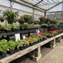 Photo of Shonnard’s Nursery