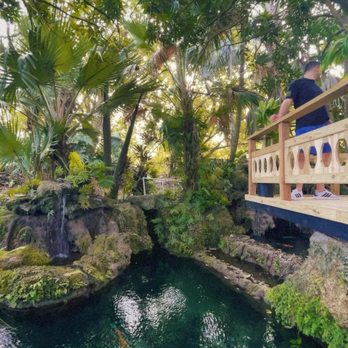 Redland Koi & Pond - First pond to left as you walk in. Gorgeous and has water falls. - Aquariums Near Me - Homestead, Florida Redland Koi & Pond - First pond to left as you walk in. Gorgeous and has water falls. - Aquariums Near Me - Homestead, Florida