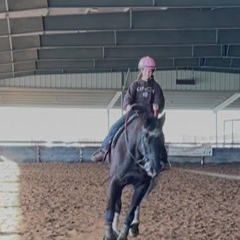 Billings Equestrian - Horseback Riding Near Me - Pleasanton, California