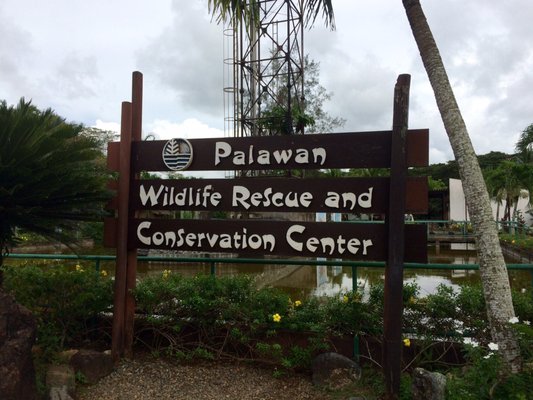 Palawan Wildlife Rescue and Conservation Center (Crocodile Farm) by null