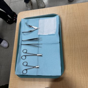 Carrington College - Suture cut - Colleges & Universities Near Me - Sacramento, California Carrington College - Suture cut - Colleges & Universities Near Me - Sacramento, California
