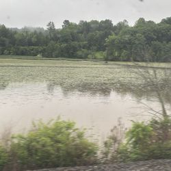 Rhinecliff Amtrak Train Station - March