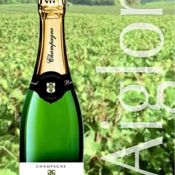 Champagne Bruno Armand