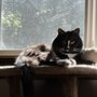 Photo of Tyee Veterinary Clinic