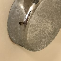 Roach Roach