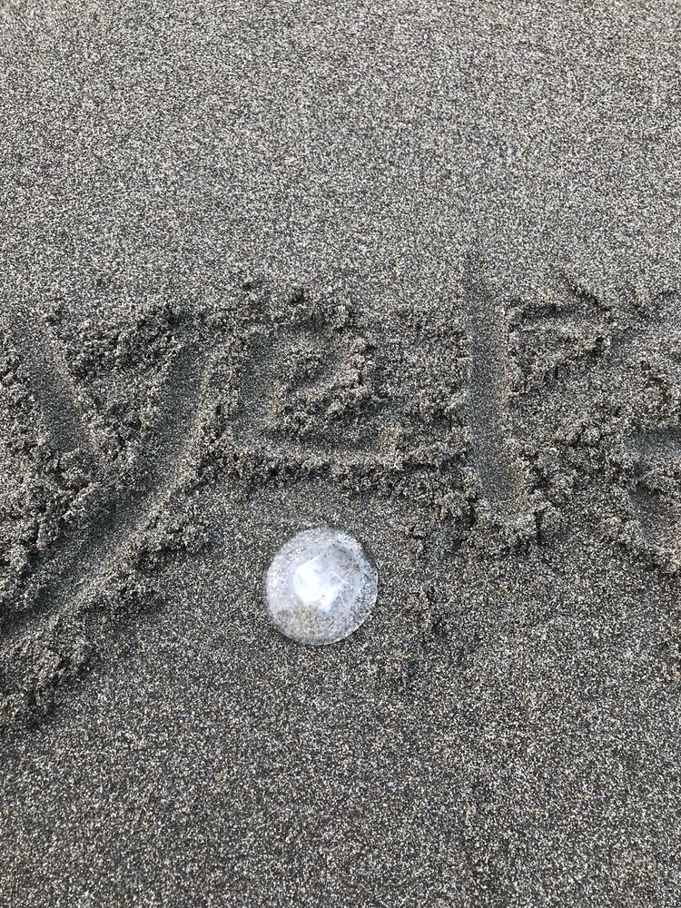 OCEAN SHORESWESTPORTOCEAN BEACH COMMUNITIES Updated September 2024