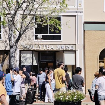 Molly Tea - Bubble Tea Near Me - San Mateo, California Molly Tea - Bubble Tea Near Me - San Mateo, California