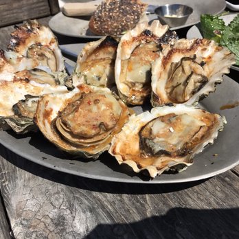 Hog Island Oyster - Seafood Near Me - Marshall, California Hog Island Oyster - Seafood Near Me - Marshall, California