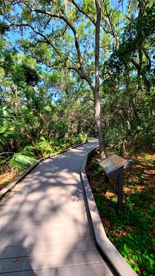 Boca Ciega Millennium Park by null