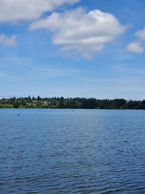 Green Lake Park by null
