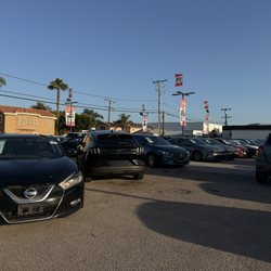 Car World - The dealer