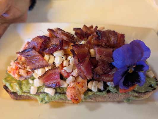 Toasted Gastrobrunch by null