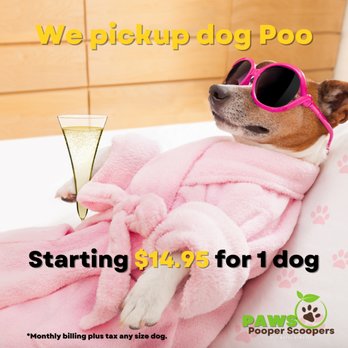 PAWS Pooper Scoopers - the best pooper scooper service in dallas - Pet Waste Removal Near Me - Fort Worth, Texas PAWS Pooper Scoopers - the best pooper scooper service in dallas - Pet Waste Removal Near Me - Fort Worth, Texas