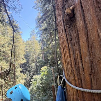 Mount Hermon Adventures - Challenge Courses Near Me - Mount Hermon, California Mount Hermon Adventures - Challenge Courses Near Me - Mount Hermon, California