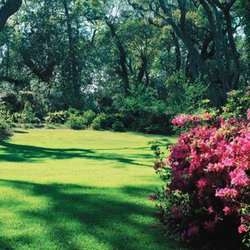 Superior Sod & Garden Supplies - Untitled