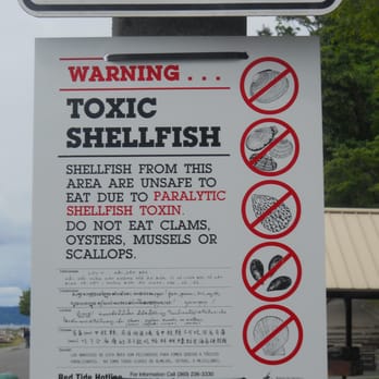 Lincoln Park - Beware! - Parks Near Me - Seattle, Washington