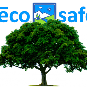 Eco-Safe - Pest Control Near Me - Dallas, Texas