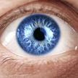 Eye Site Optical