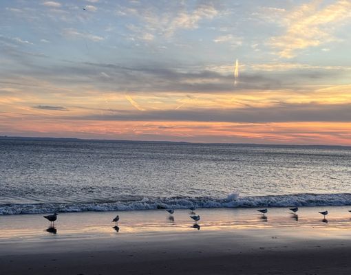 Brighton Beach by null
