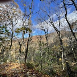 Blue Ridge Hiking Company