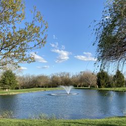 Sitting on the bench dedicated to R Lamb enjoying the pond view...