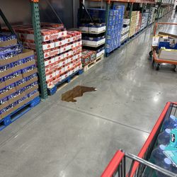 Costco - Uh Oh!