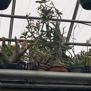 Ted's Greenhouse - Nurseries & Gardening Near Me - Tinley Park, Illinois Ted's Greenhouse - Nurseries & Gardening Near Me - Tinley Park, Illinois