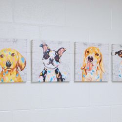 Solomon Veterinary Clinic