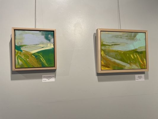 Borrego Art Institute by null