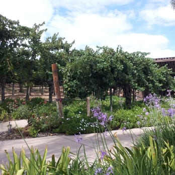 Creekside Grille Restaurant - Our beautiful view during lunch today :) - New American Near Me - Temecula, California