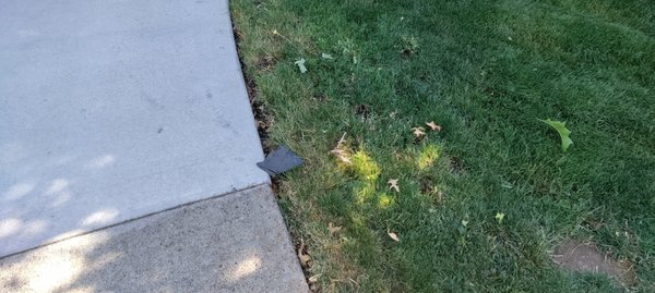 Landscape East & West