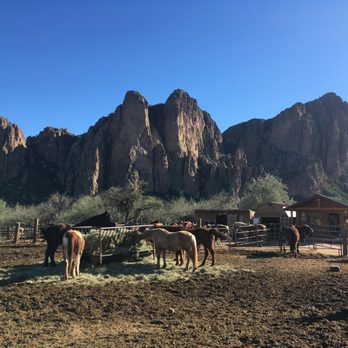 Saguaro Lake Ranch Stable - Horseback Riding Near Me - Mesa, Arizona Saguaro Lake Ranch Stable - Horseback Riding Near Me - Mesa, Arizona