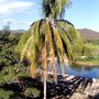 Photo of Playa Barra de la Cruz