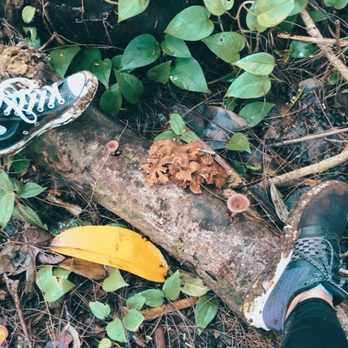 Judd Trail - It rained a few days ago so everything was muddy (11/26/20) - Hiking Near Me - Honolulu, Hawaii
