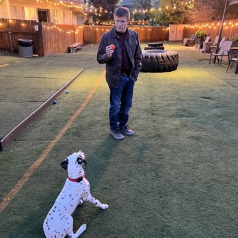 Dogwood Play Park - Dog Parks Near Me - Seattle, Washington Dogwood Play Park - Dog Parks Near Me - Seattle, Washington