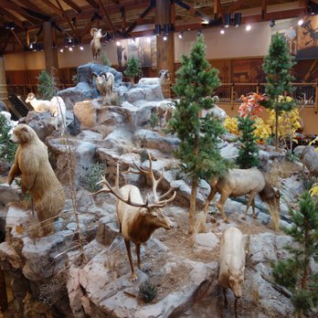 Cabela’s  - Outdoor Gear Near Me - Hoffman Estates, Illinois